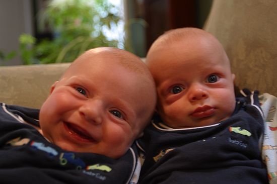 Gus hams it up and Zeke is not amused.