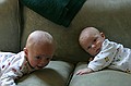 Just the boys on the couch.