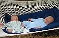 They quickly learned the art of hammock napping at the farm.