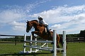 Not stricktly a boy picture, but it turns out Amy hasn't lost her chops in the saddle.