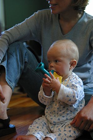 Zeke chomps on a chewer.