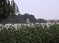 Lake Hoan Kiem in downtown Ha Noi.