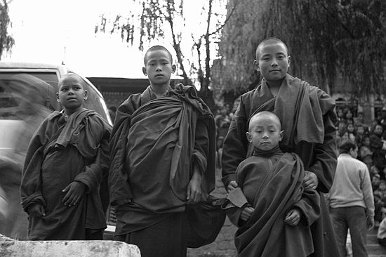 Monks waiting for the show to start.