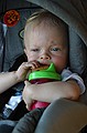 Zeke finds solace in some milk and crackers.