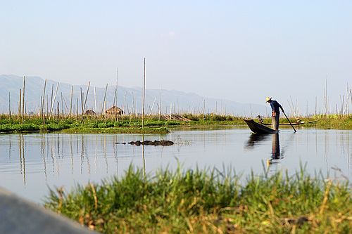 Fishing in the floating grasses.