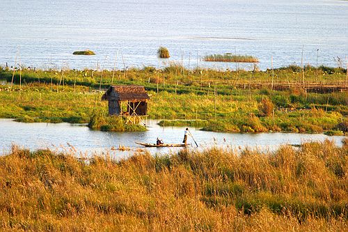 Paddleing through the grasses.