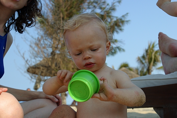 Zeke on the beach.