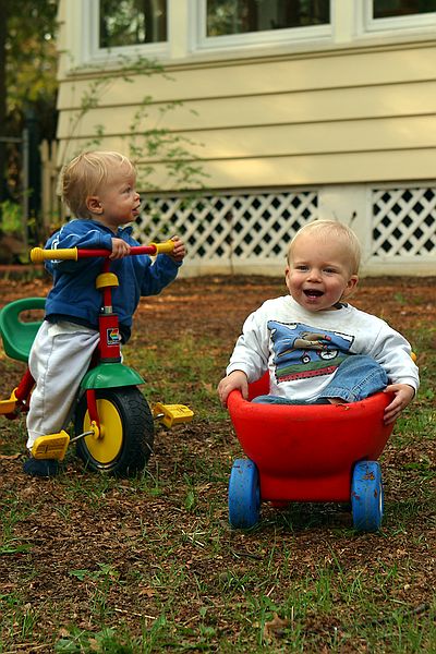 Wheeled in the backyard.