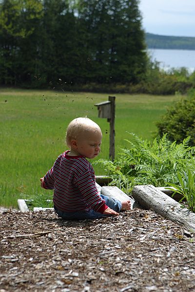 Flinging wood chips.