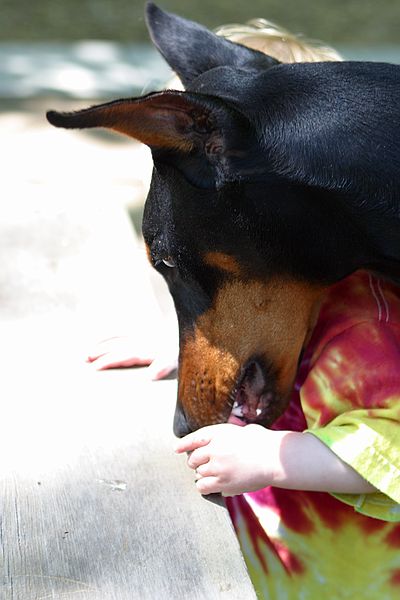 Betsy gets some lunch.