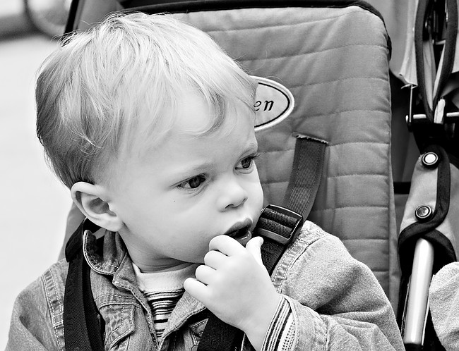 Zeke in the stroller.