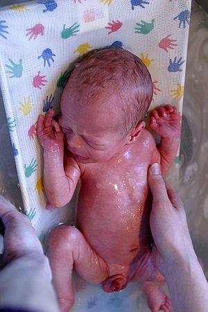 Zeke gets his first bath.