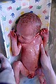 Zeke gets his first bath.