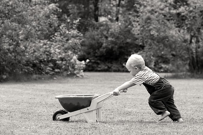 And Gus pushes his own wheelbarrow.