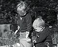 Zeke and Gus in Ba Lynn's Park.